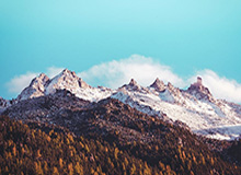 开云体育登录入口-高开低走！多哈首胜队却首个出局 申花已尴尬14年